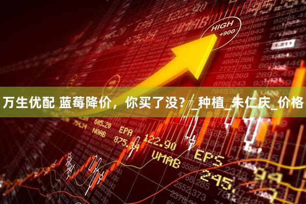 万生优配 蓝莓降价，你买了没？_种植_朱仁庆_价格