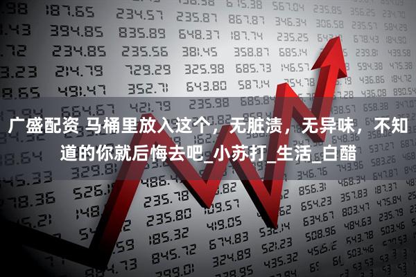 广盛配资 马桶里放入这个，无脏渍，无异味，不知道的你就后悔去吧_小苏打_生活_白醋