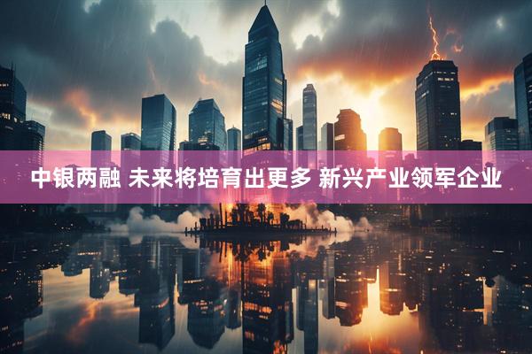 中银两融 未来将培育出更多 新兴产业领军企业