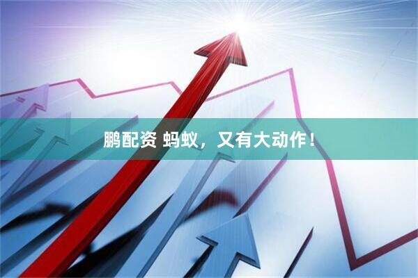 鹏配资 蚂蚁，又有大动作！
