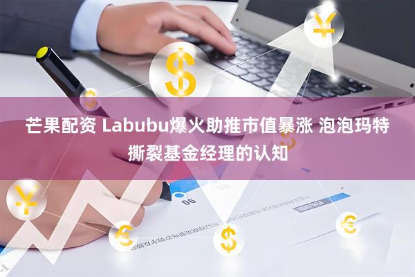 芒果配资 Labubu爆火助推市值暴涨 泡泡玛特撕裂基金经理的认知