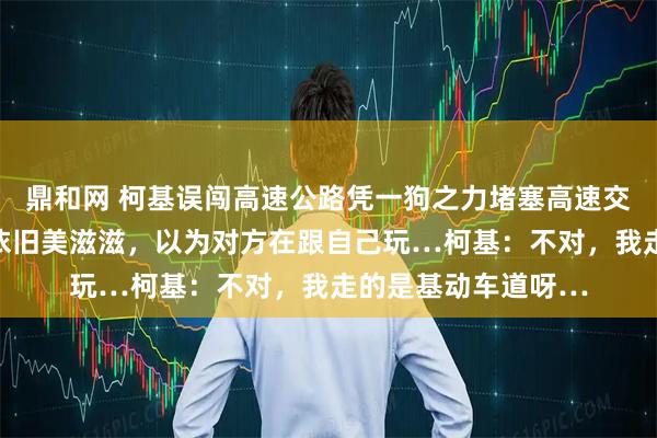 鼎和网 柯基误闯高速公路凭一狗之力堵塞高速交通，被赶下高架后依旧美滋滋，以为对方在跟自己玩…柯基：不对，我走的是基动车道呀…